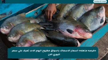 «فرصة مذهلة» أسعار الأسماك بأسواق مطروح اليوم الأحد تعرف على سعر البوري الآن